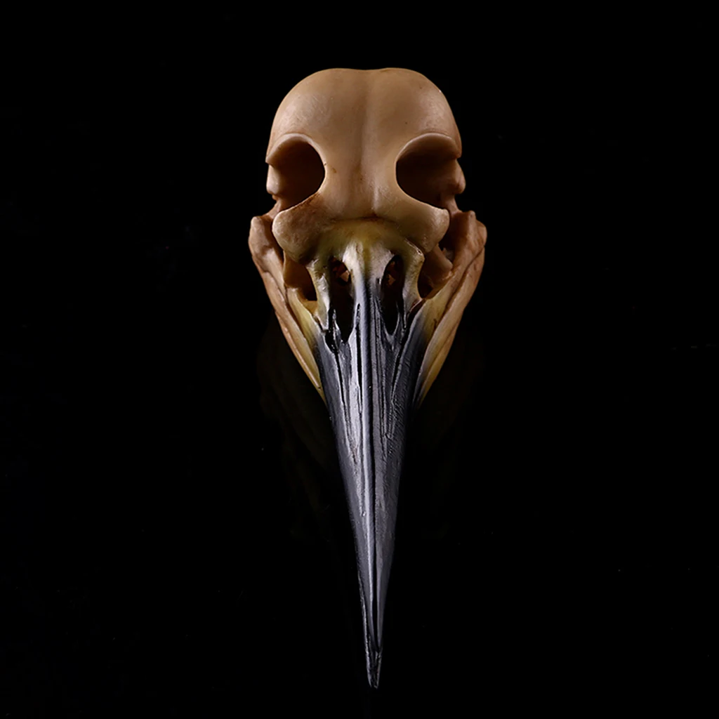 Resin Oystercatcher Skull Replica Skeleton Figurine Collection Decor Yellow