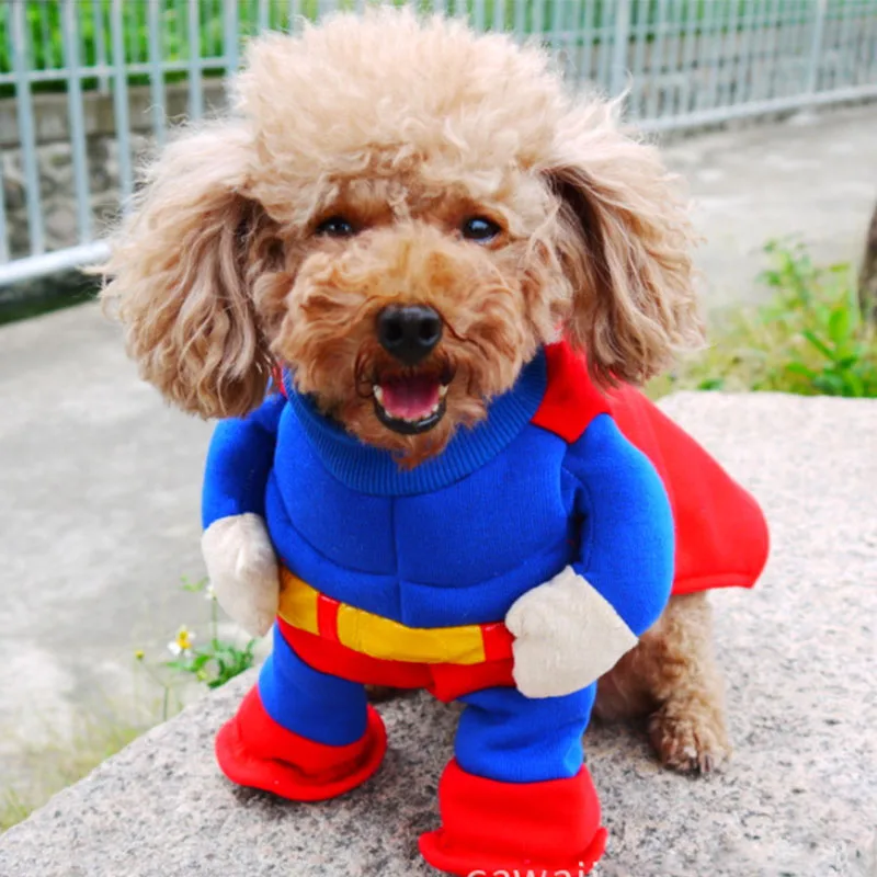 Drôle Halloween Pet Chat Chien Superman Debout Costume