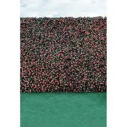 Mehofoto винил фотографии Задний план цветок стены Компьютер Отпечатано Свадебная фонов для Аксессуары для фотостудий cm-6614