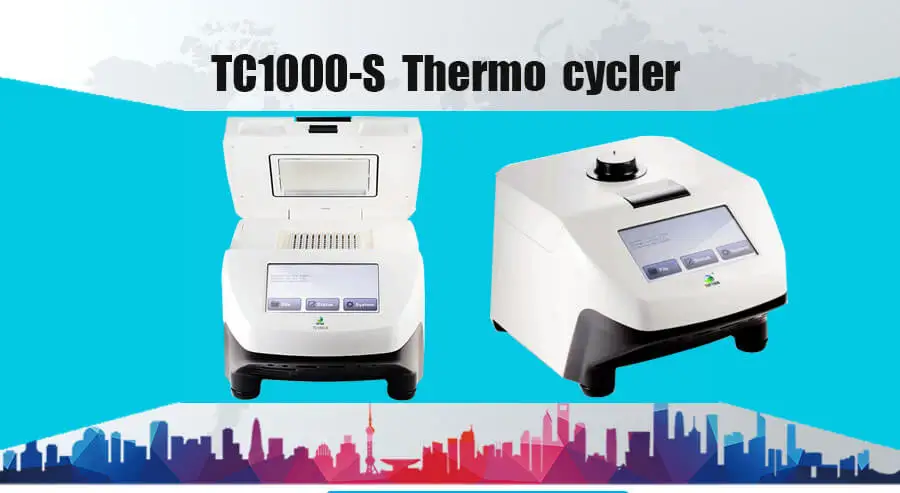 PCR thermal cycle (3)