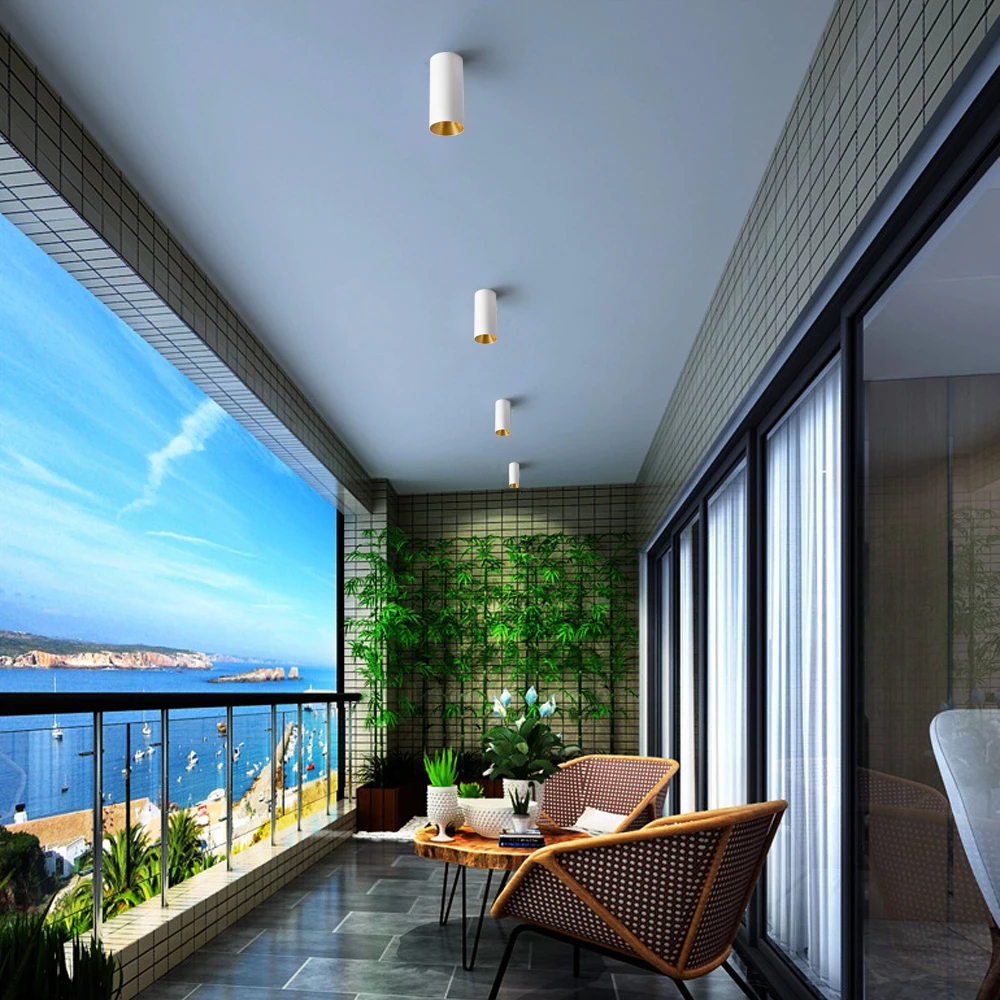 Surface downlights  (13)