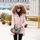 Best Price as low as $161 Wholesale Apparel & Accessories