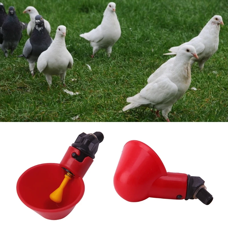 

Poultry Water Drinking Cups Plastic Poultry Chicken Hen Bird Automatic Drinker