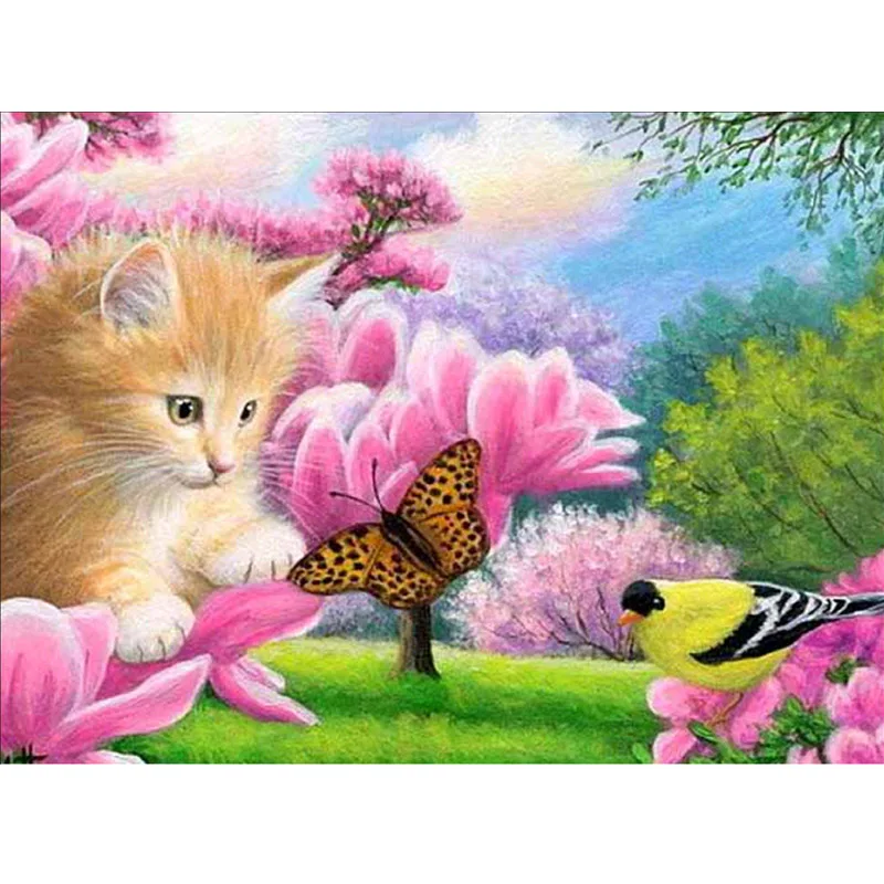 3D diy Алмаз вышивка алмазов картина вышивки крестом комплект Cat бабочка птица
