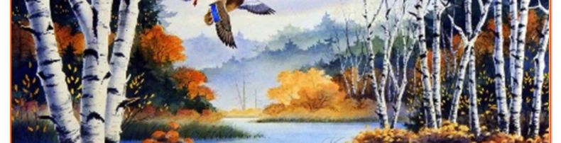 Birch bay river scenery free shipping full diamond painting mosaic pattern 5d rhinestone embroidery textile cross stitch crafts1821_05