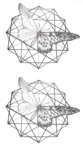 Наклейка-Татуировка бабочка водостойкая Временная поддельная Татуировка Геометрическая рука дети Дети Подростки женский боди-арт инструменты 10,5X6 cm - Цвет: SF3860