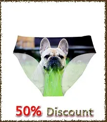 funny dog