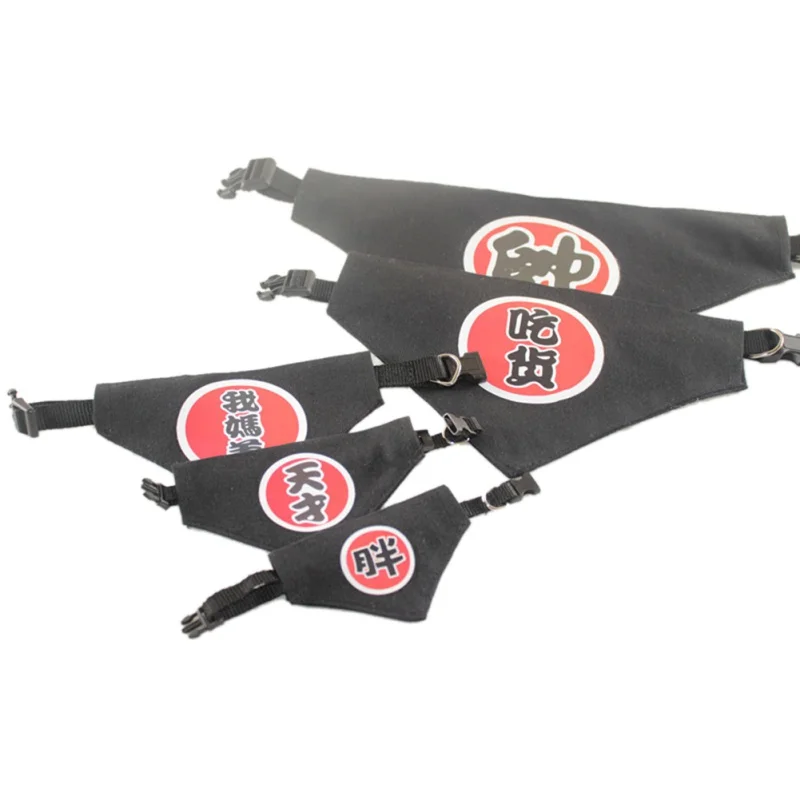 IY0061 (13)