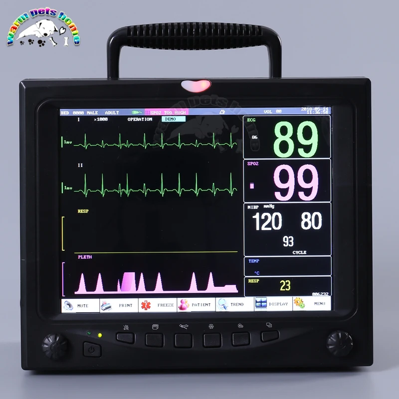 12,1 дюймовый портативный Ветеринарный монитор пациента с жизненными знаками для ветеринарных параметров для ветеринарного оборудования