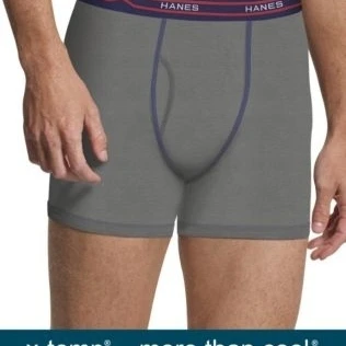 Hanes 00043935796860 Mens Performance Cool X-Temp Short Leg Boxer Briefs Ash - Pack of 3 - Size 6 (1)