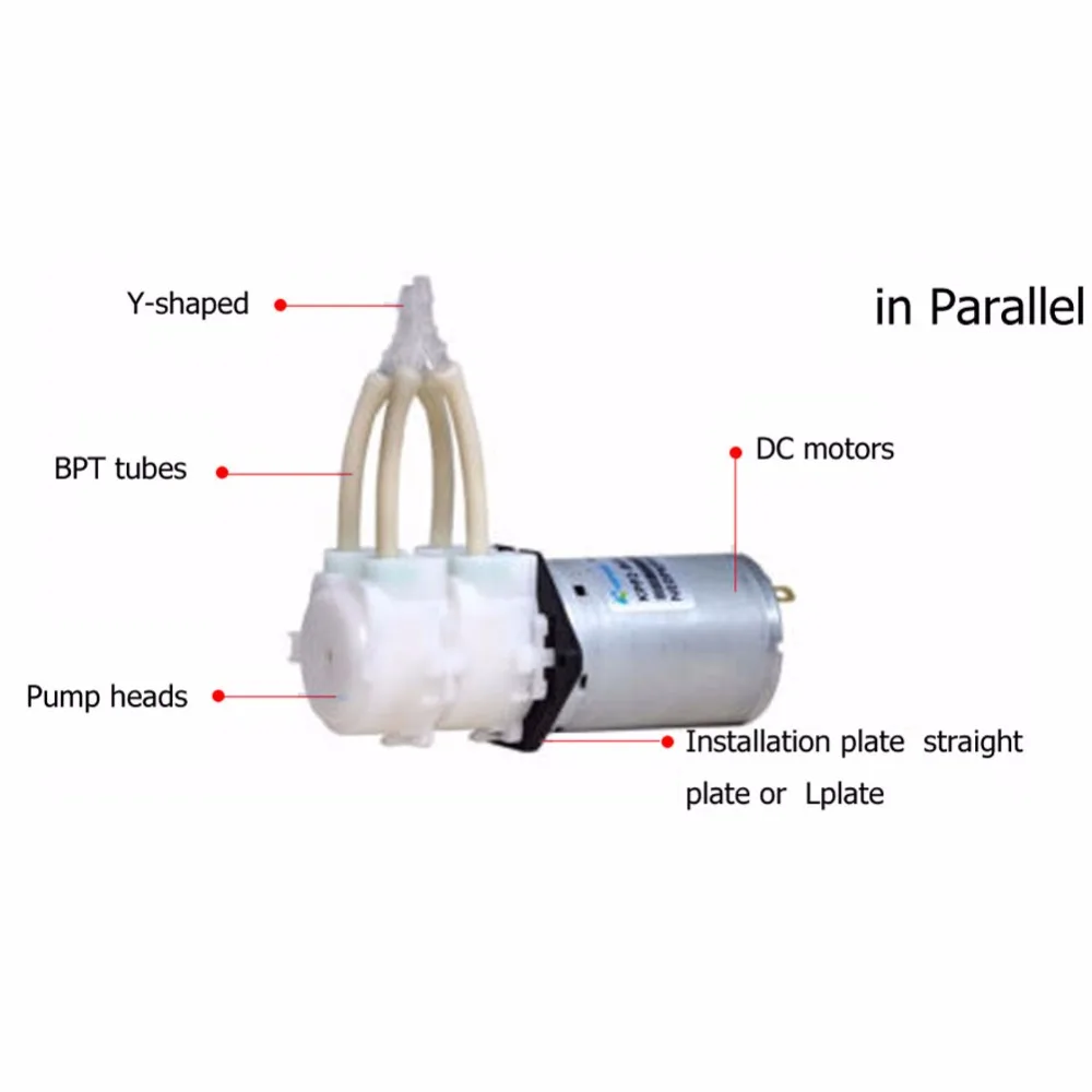 Перистальтический насос для перекачки жидкостей химический насос дозатор двойной головкой KPP2 Нержавеющая сталь прямой/y-образный 12 V/24 V BPT трубки лаборатории дозирования