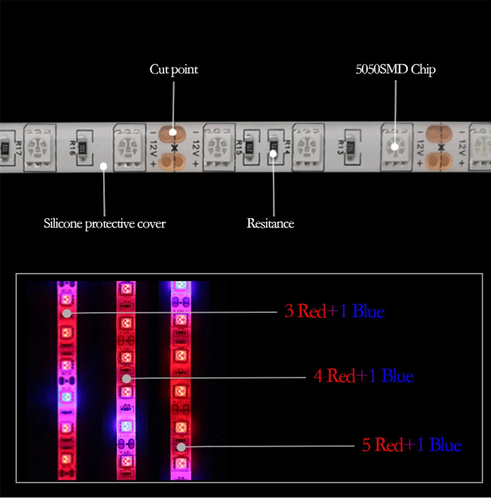 LED31_03