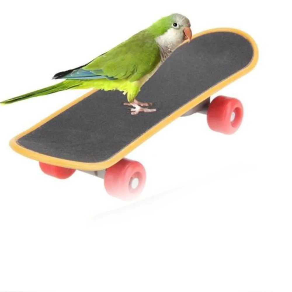 

Large small and medium-sized parrot feet puzzle toy grinding grasp mini skateboard skate parrot training Bird Supplies