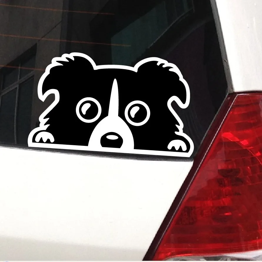 Автомобильные наклейки Border Collie аксессуары для украшения собак | Автомобили и