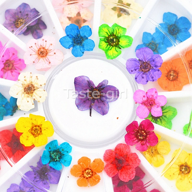 

12 Colors Real Dried Flowers Tips 3D Nail Art Wheel Decoration stickers Manicure Nail Art Accessoires tools