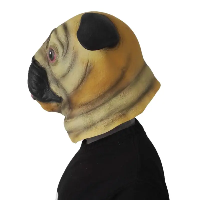 31