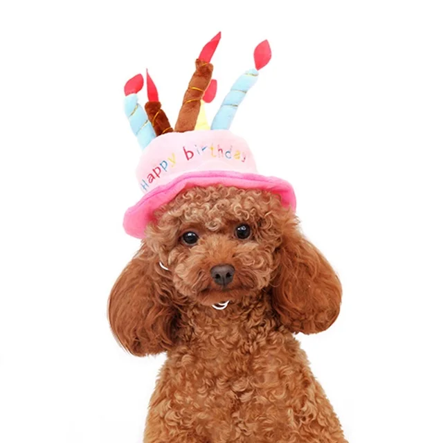 hond verjaardag hoed kerst halloween party hoed hond kat leuke
