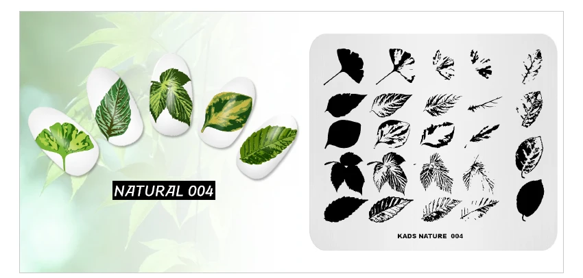 KADS-NATURAL-4_06