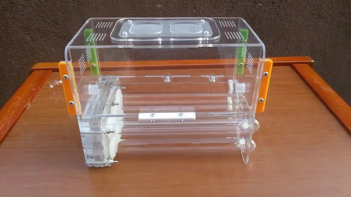 ant-house (3)