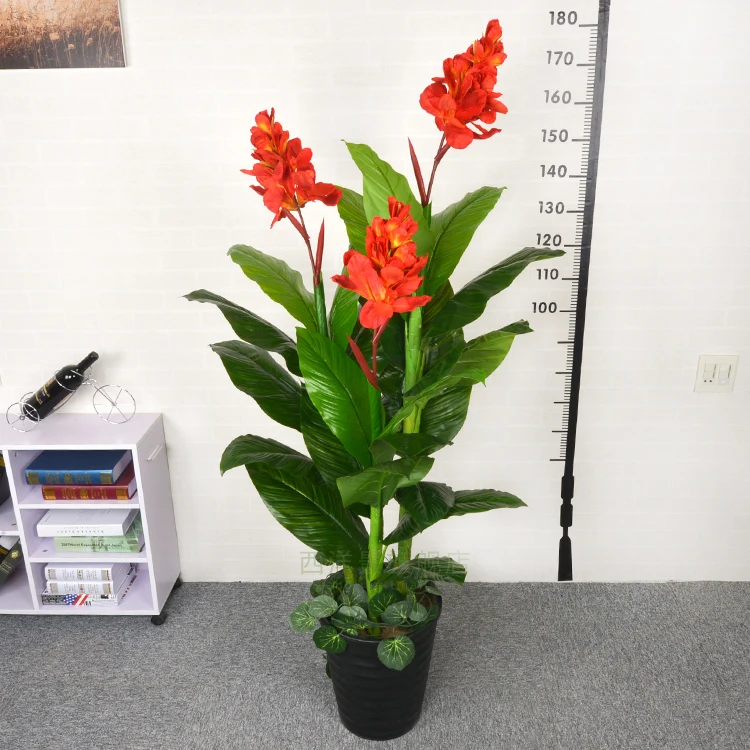 Simulation Arbre Canna Indica Grand Arbre Faux Arbre Fleur