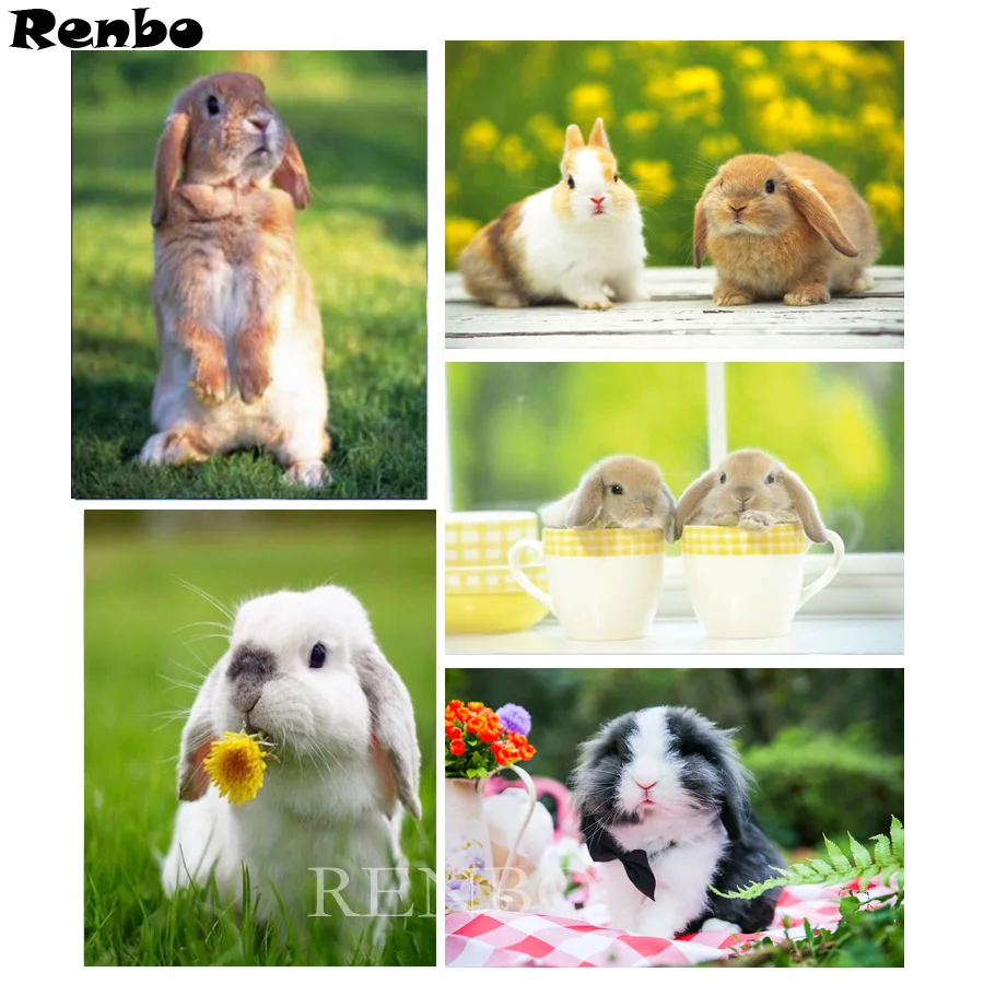

Diamond Embroidery Rabbit DIY Full Square Diamond Painting Cross Stitch Kits "English Lop" 5D Diamond Mosaic sticker Home Decor