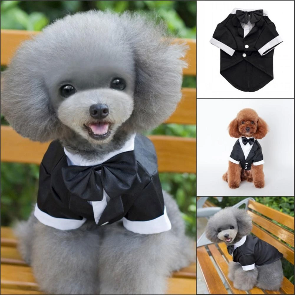 ペットの犬服猫王子結婚式のスーツかわいい紳士犬のウェディングドレス男性犬スーツタキシード蝶ネクタイ子犬コート新 Dog Sets Aliexpress