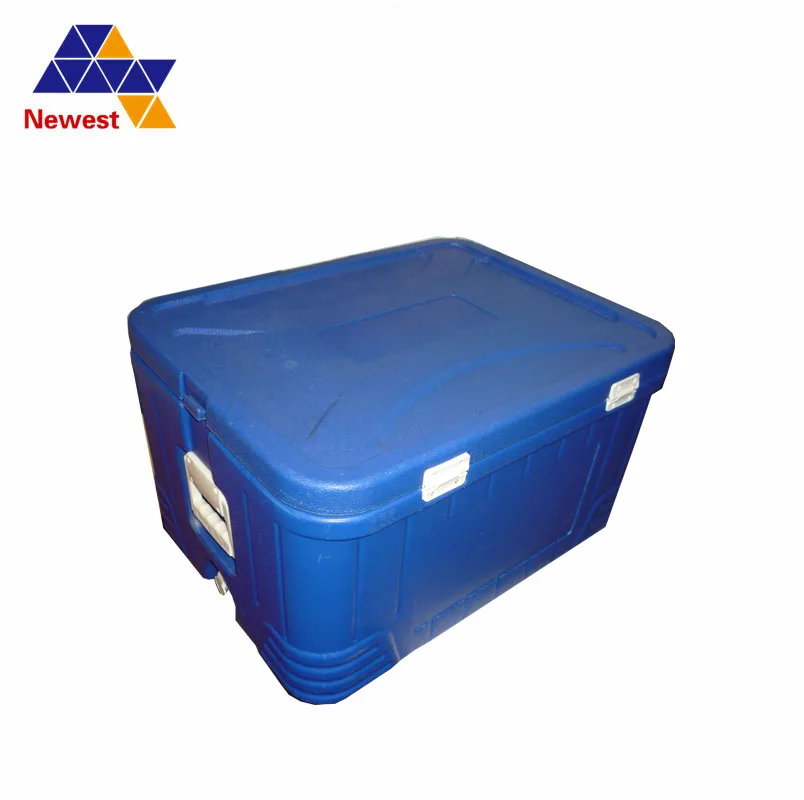 

mini car refrigerator mini fridge portable/fish cold box/cold food packaging box