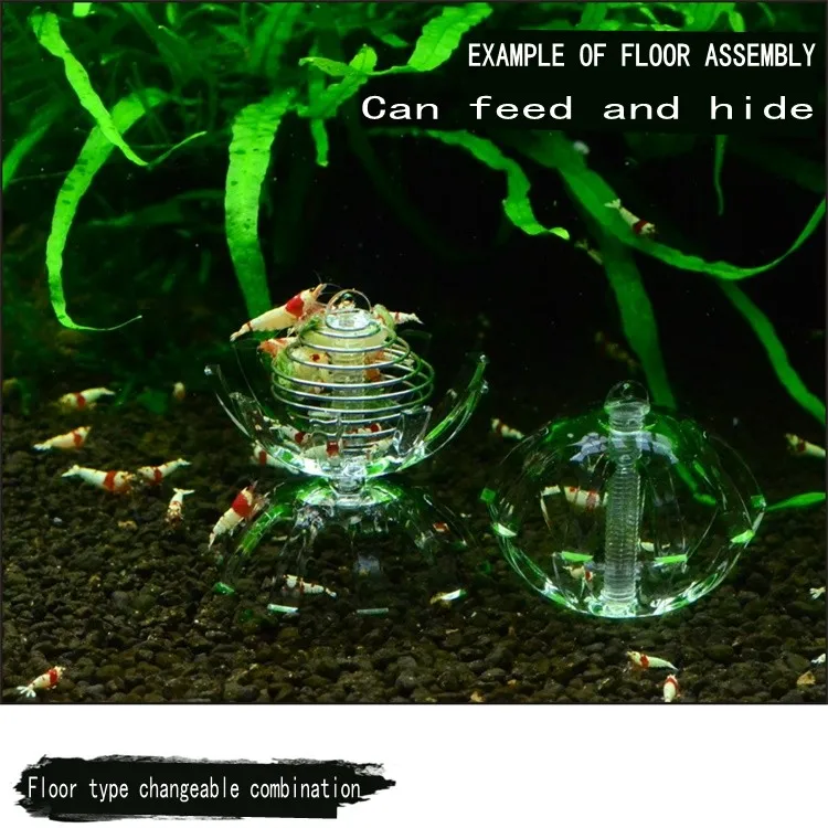 03_conew1