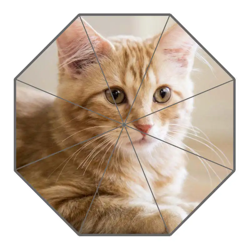Custom Cute Cat Compact Travel Windproof Rainproof Foldable Umbrella