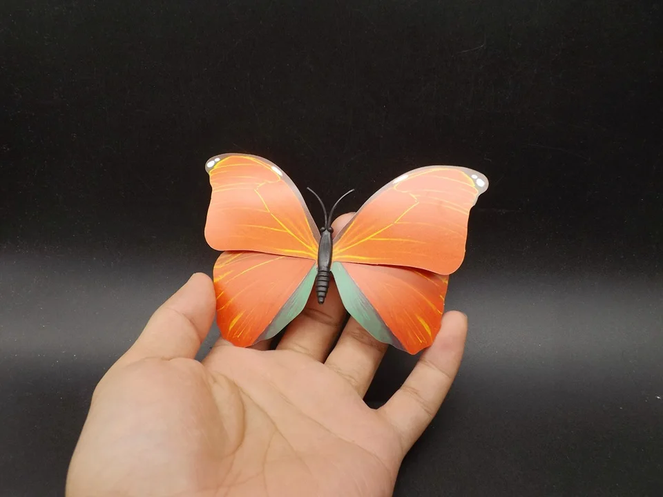 I226-Butterfly (1)
