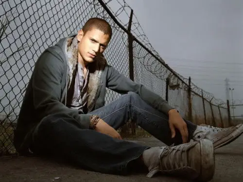 

0068B Wentworth Miller - Prison Break American Actor-Wall Sticker Silk Poster Light Canvas Decoration