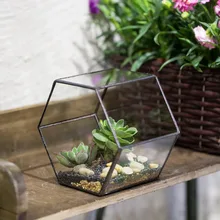 바탕 화면 기하학적 육각형 유리 Terrarium 세로 정원 분재 테라리움 즙이 많은 식물 재배자 실내 꽃 냄비 화분