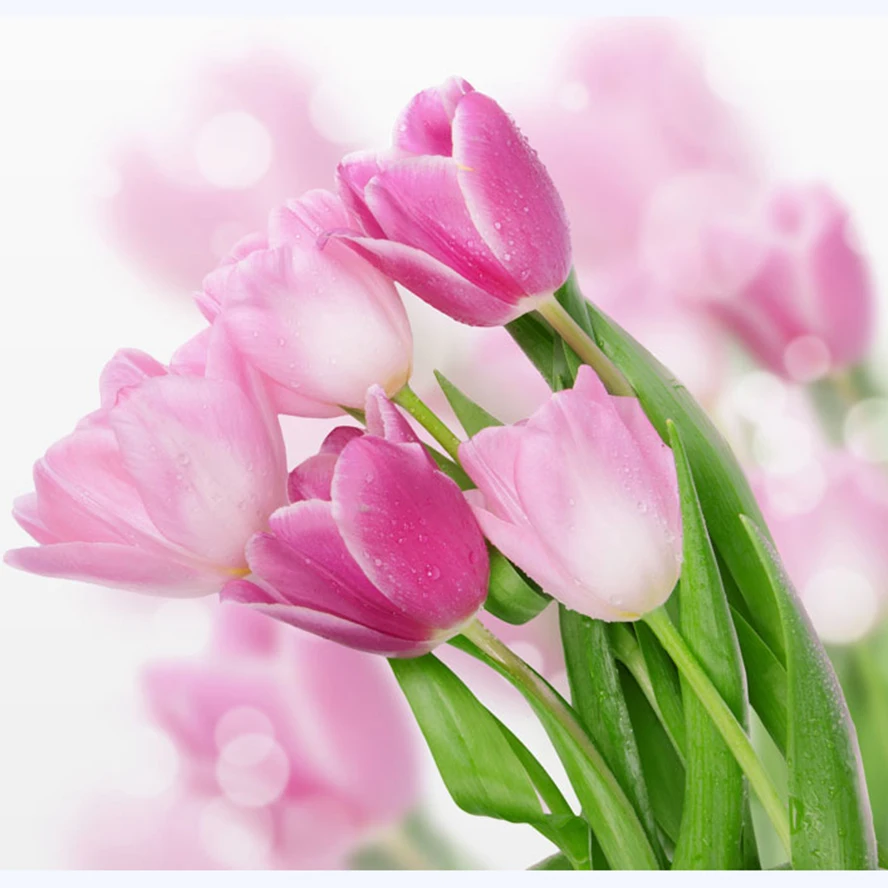 

Netherlands Tulip flower Diamond Painting Cross Stitch Diamond Embroidery 5D Diy Diamond Mosaic Picture Rhinestones Gift AS526