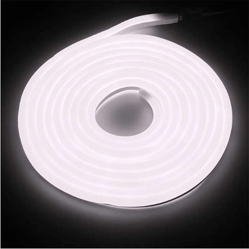 Tiras de Led ue para a festa de Feature 1 : Led Neon Flex Rope Light