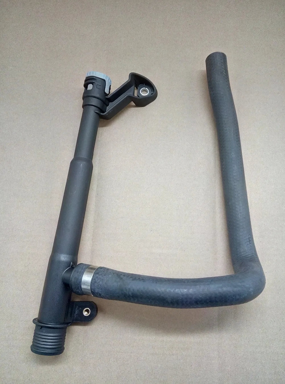 LR005563 (1)