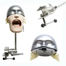 Нержавеющая сталь голова модель NISSIN зубные манекены и модели фантомная головка зубные