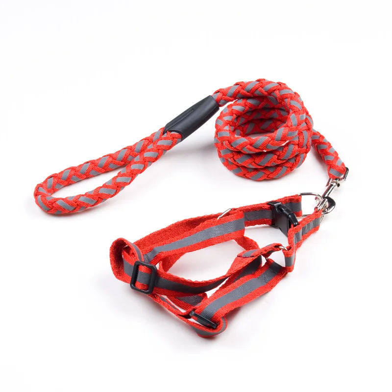 3 dog leash 