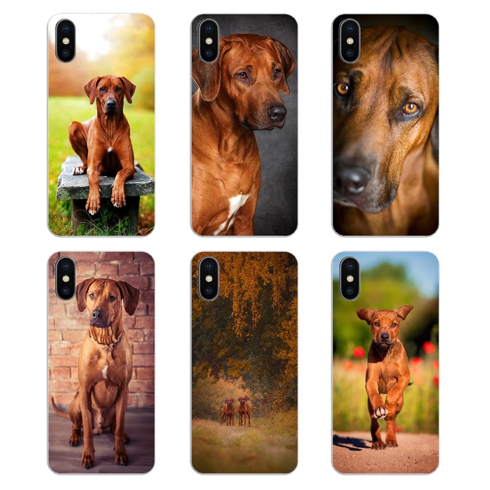 Transparent Soft Skin Cover For Xiaomi Mi A1 A2 5X 6X 8 lite SE Pro Max Mix 2 2S 3 Mi5 Mi5S Rhodesian Ridgeback Dog Print Poster |