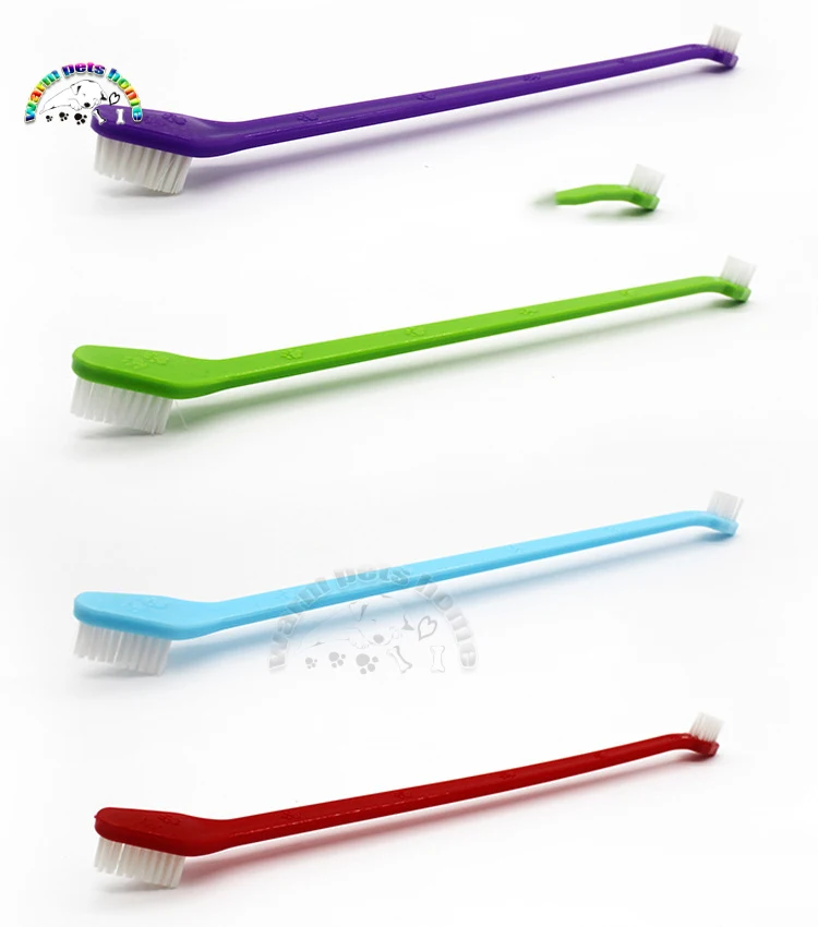 dog brush teeth