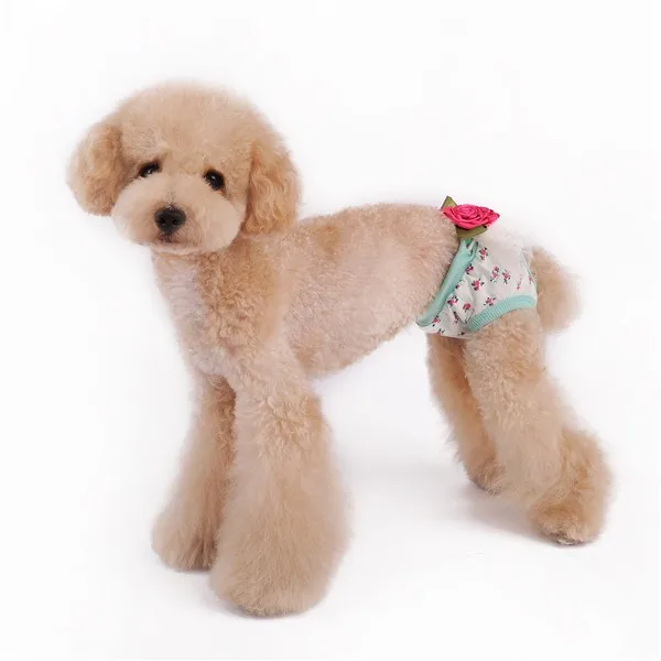 1505675423_917042931