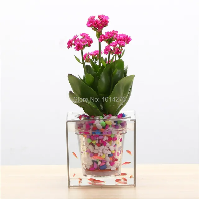 Creative Clear Tube Plant Pot / Flower Pot Decorative Self-Watering Planter Fish Tank for Home Office Desk Free Shipping