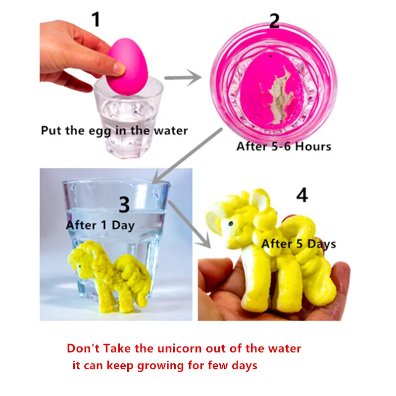 growing unicorn in egg