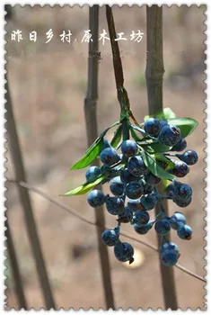 

Artificial Flower Blueberry 10 pieces length 24cm