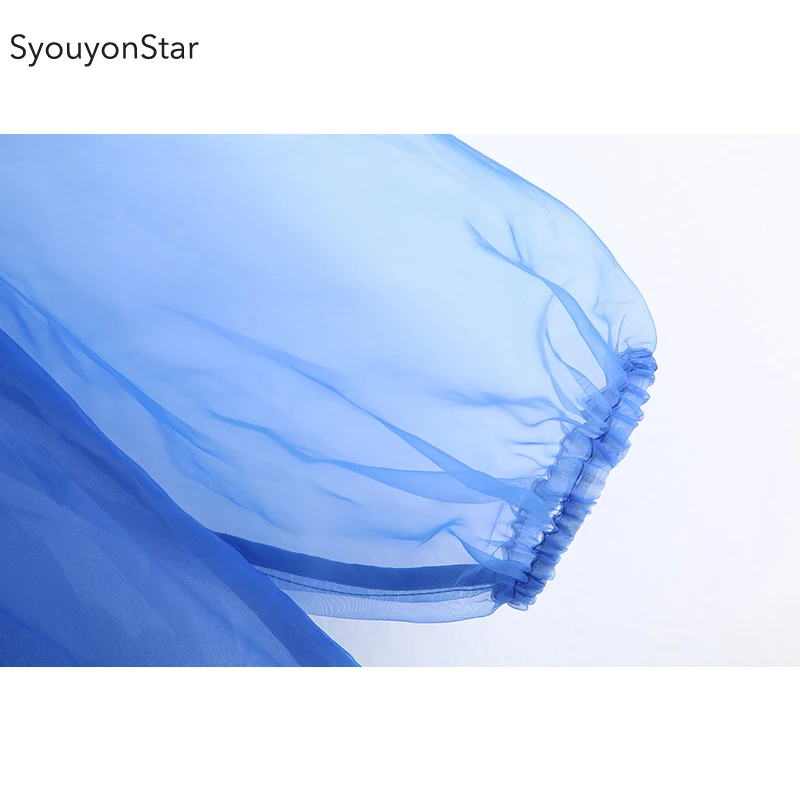 Голубая прозрачная сетчатая женская блузка с длинным рукавом souyonstar летняя