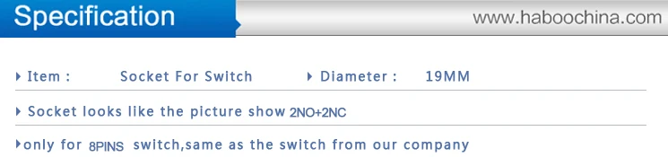 P19 2no+2nc socket 