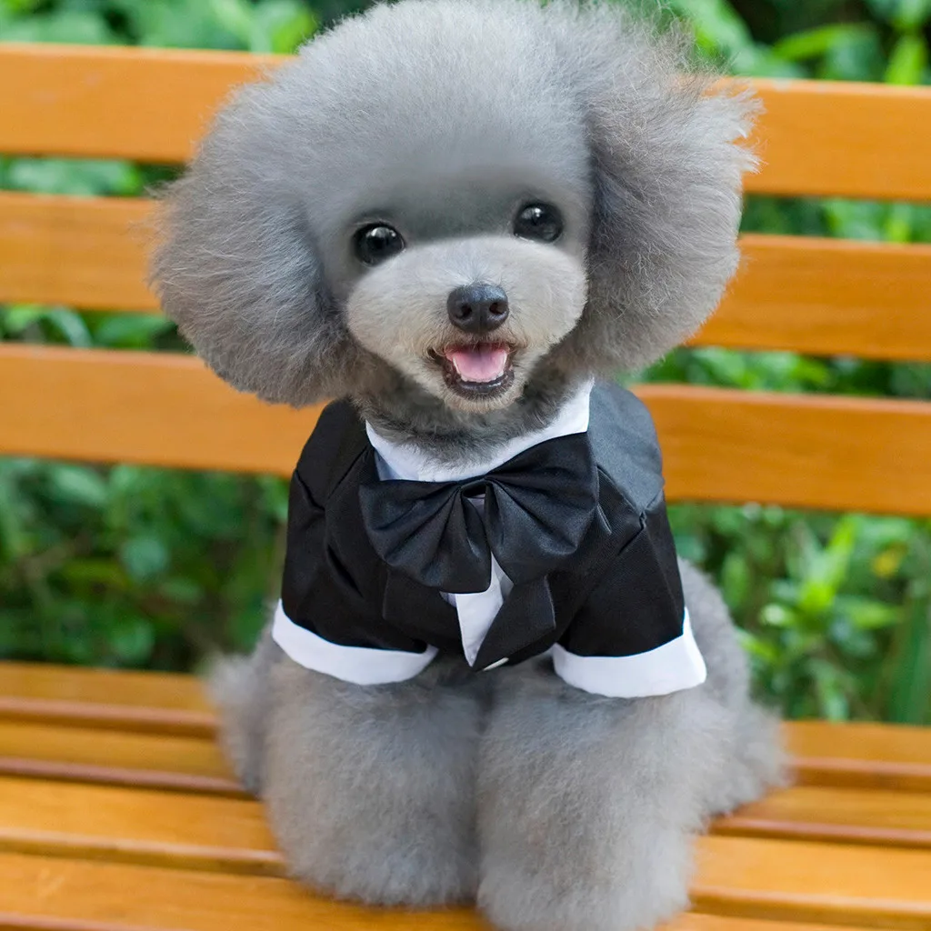 Stylish Gentleman Pet bowknot Clothes Dog Suit Tie Wedding Formal Dress