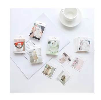 

30 Pcs/Set Lovely Bunny Rabbit Postcard/Greeting Card/Message Card/Birthday Letter Envelope Gift Card