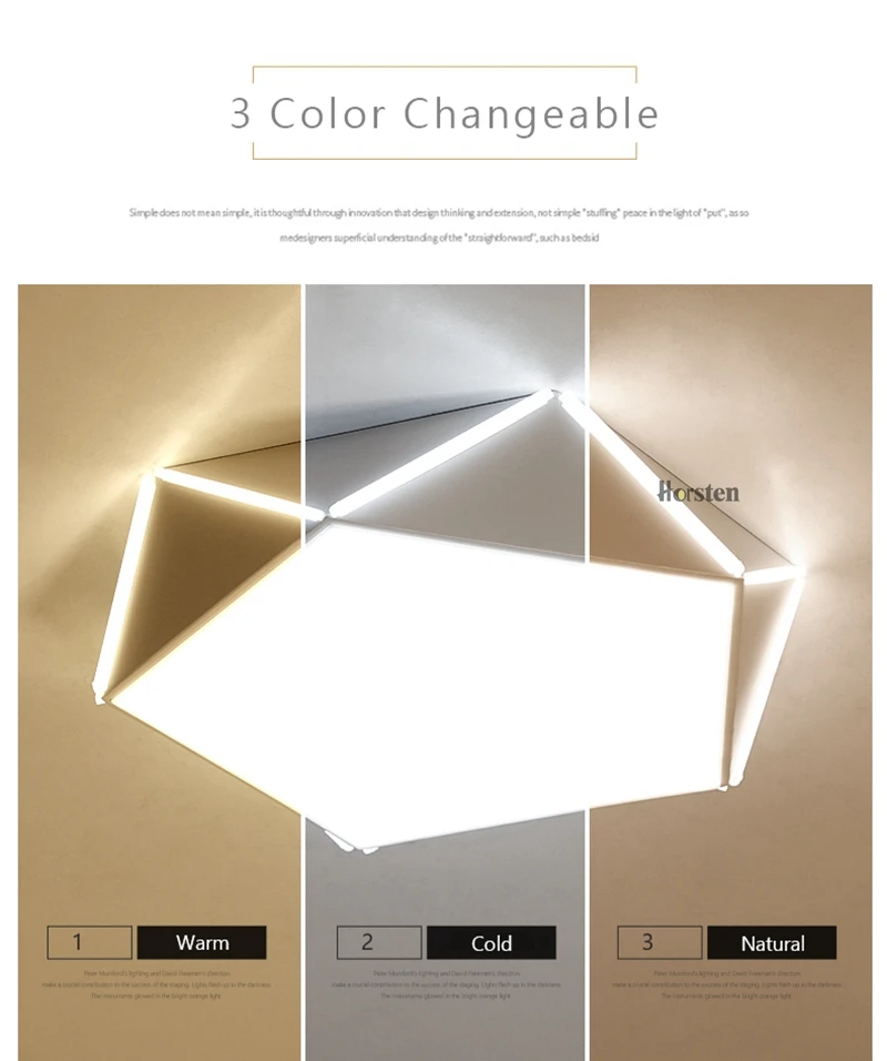Horsten Geometric Design Ceiling Lights Lamps With Remote Control Indoor Lighting For Bedroom Living Room 6-20 Square Meters (13)