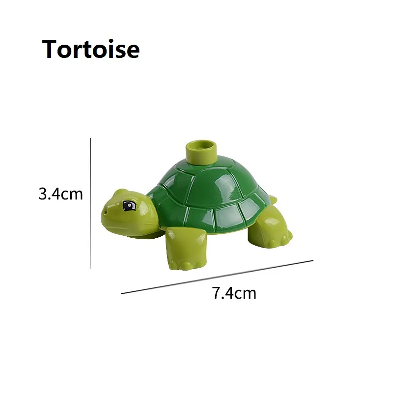 Tortoise
