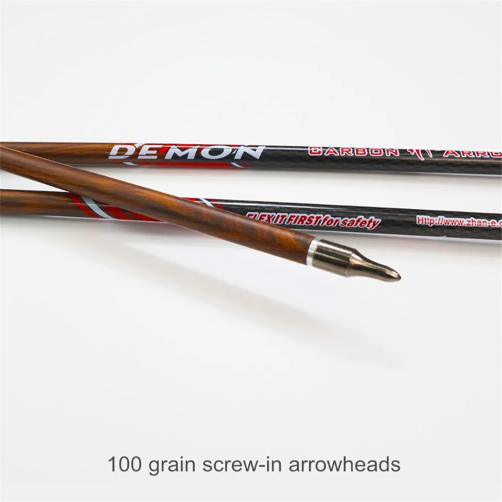 zhan yi carbon arrows (4)